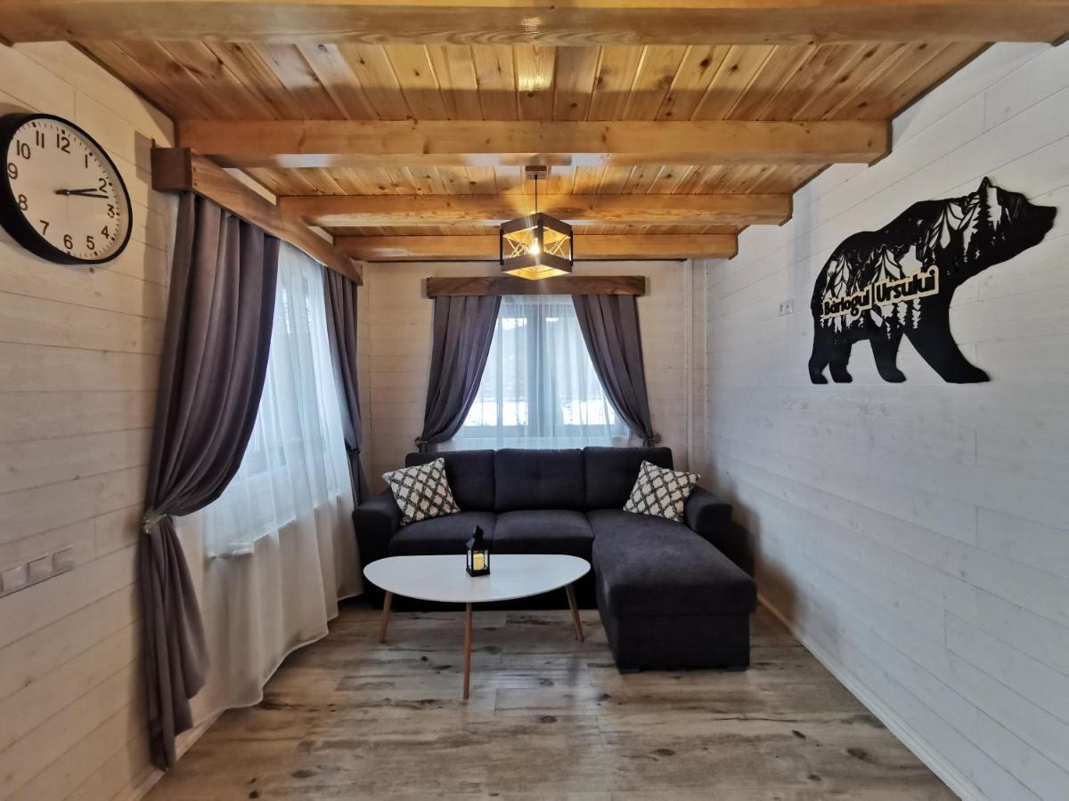 Bear'S Lair Chalet Porumbacu de Sus Exterior photo