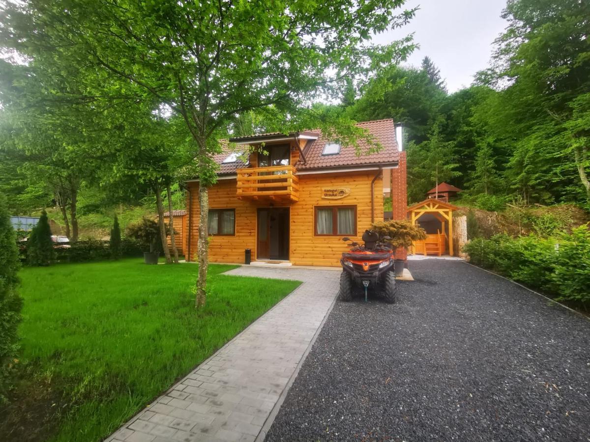 Bear'S Lair Chalet Porumbacu de Sus Exterior photo