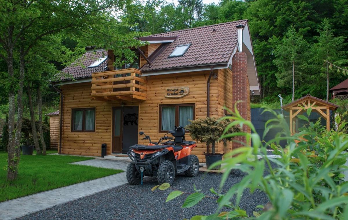 Bear'S Lair Chalet Porumbacu de Sus Exterior photo